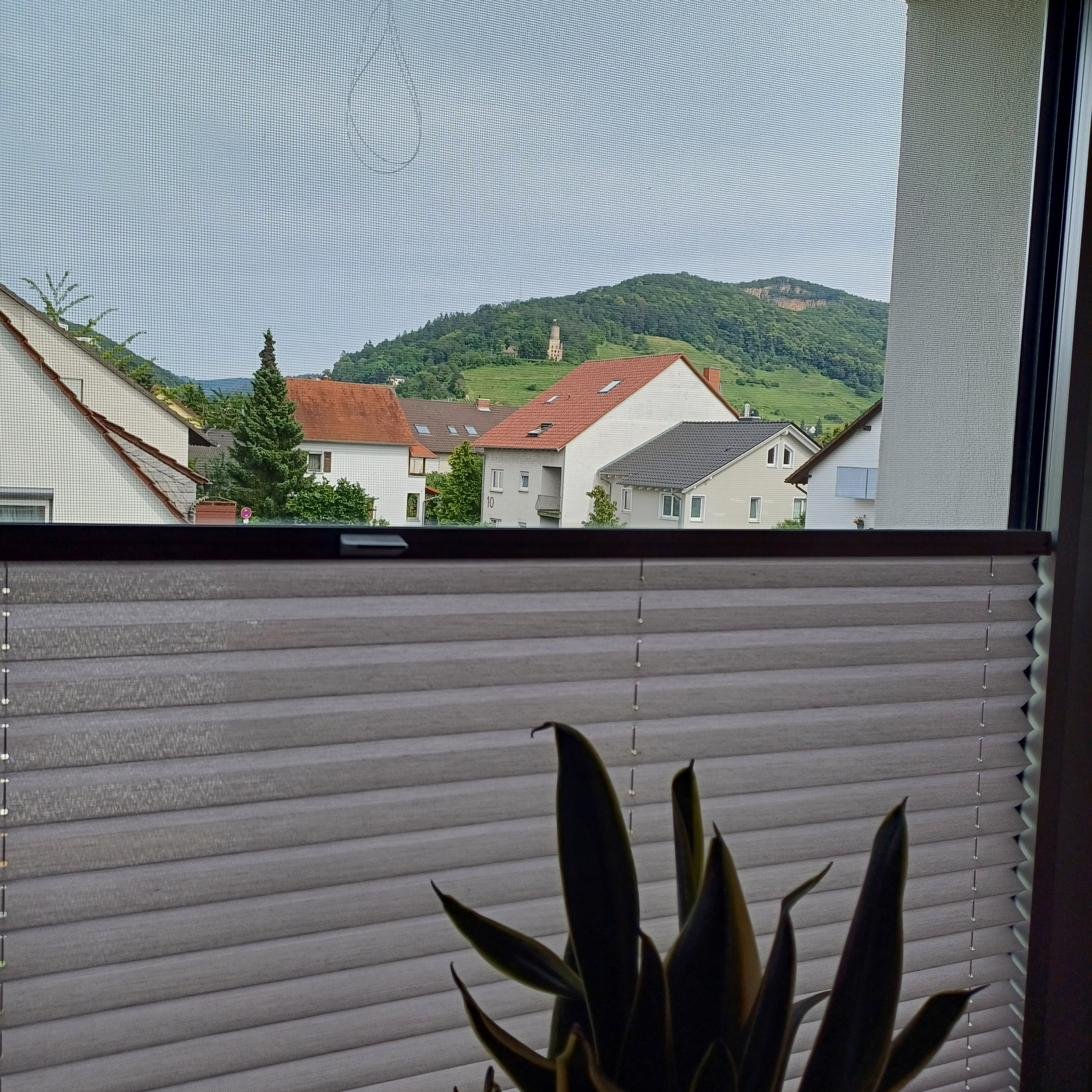 Ausblick auf die Strahlenburg
