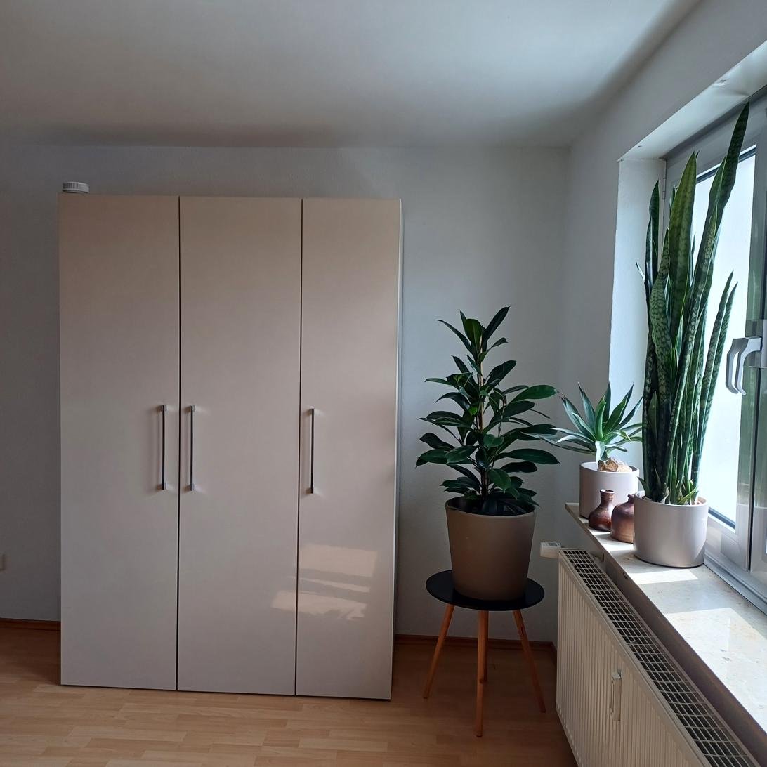 Wohnzimmer mit Kleiderschrank und Pflanzen am Fenster